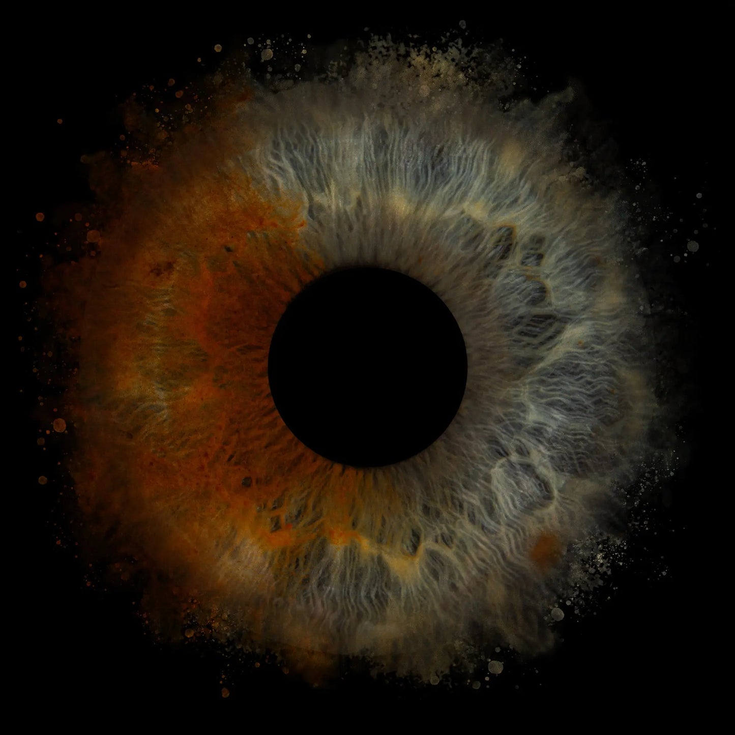 1-Persoons Iris Artwork Foto op Plexiglas IrisArtwork