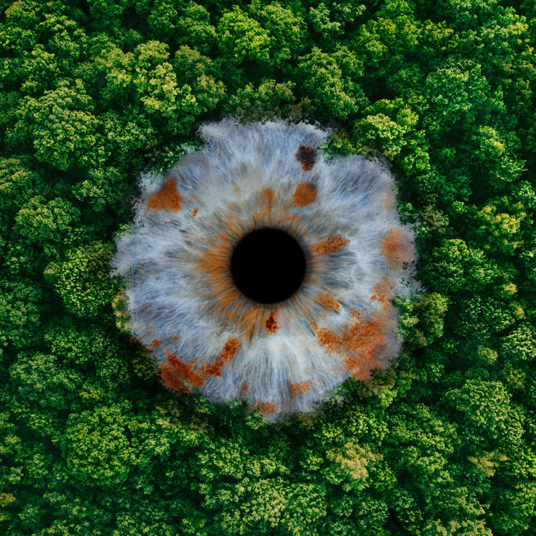 IrisArtwork Collab met The Special Ones - IrisArtwork