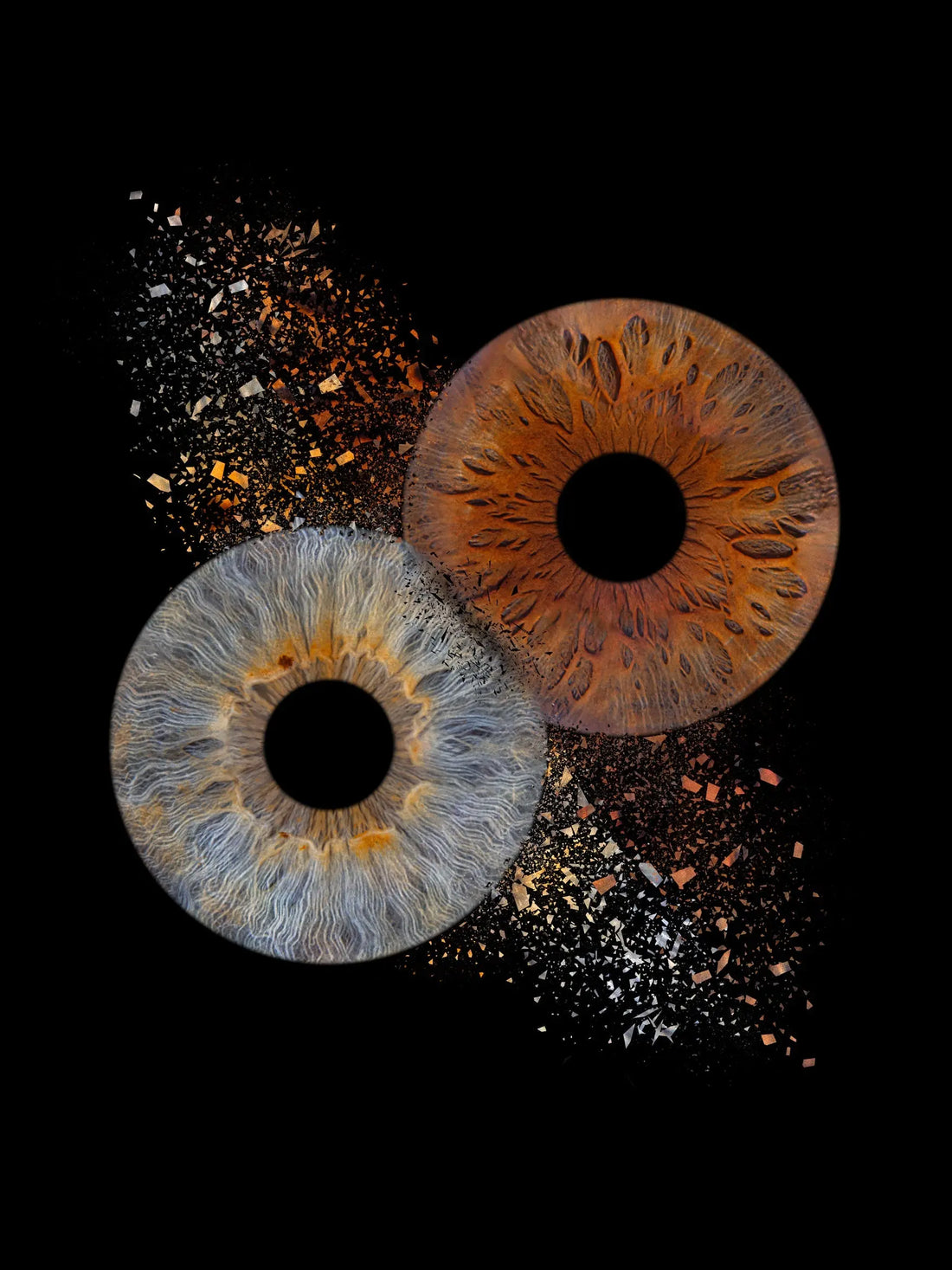 De Strijd tussen Bruine en Blauwe Ogen – De Meest Voorkomende Oogkleuren Vergeleken IrisArtwork