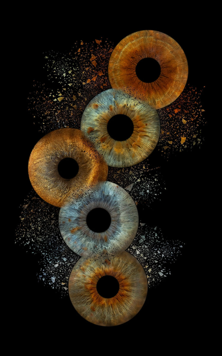 Nieuw bij IRISARTWORK: Irisfoto’s van Honden IrisArtwork