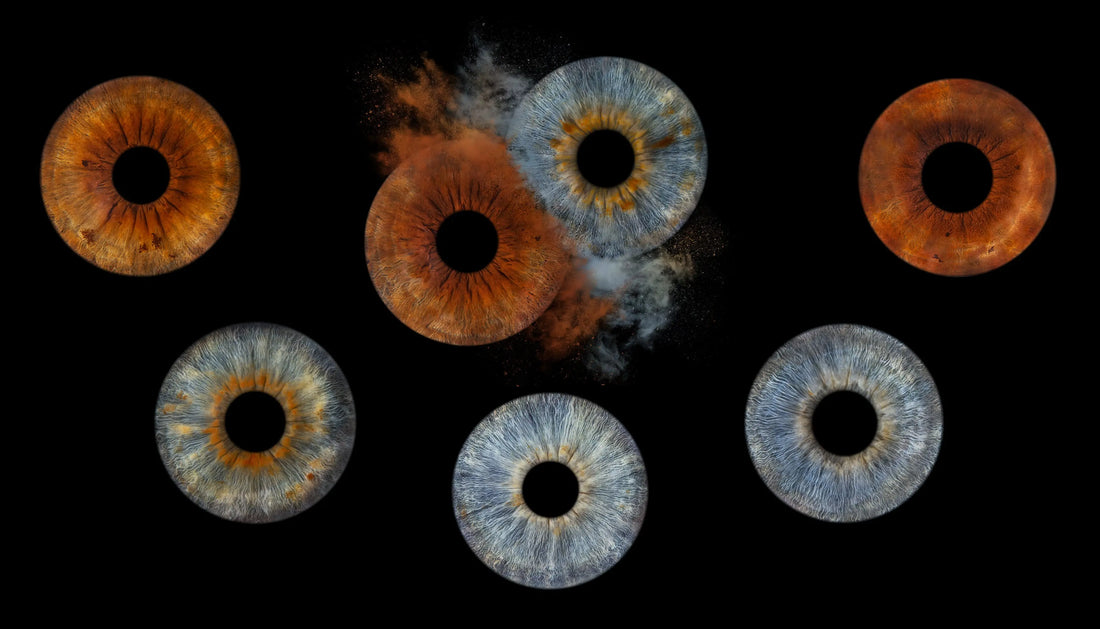 Wat Je Oogkleur Over Je Zegt – Feit of Fictie? IrisArtwork