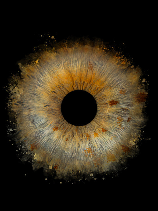 Digitaal 1-persoons Iris Foto Artwork
