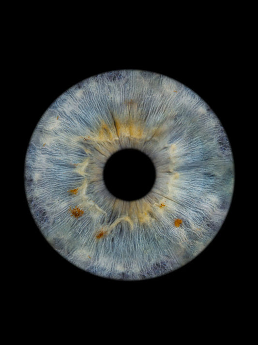 1-persoons Irisfoto op digitaal bestand in naturel tinten – IrisArtwork