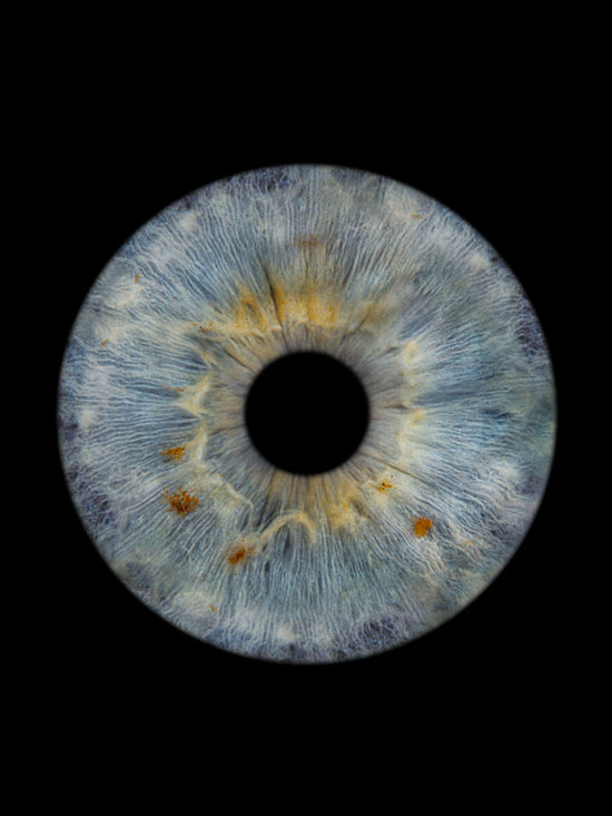 Digitaal 1-persoons Iris Foto Artwork