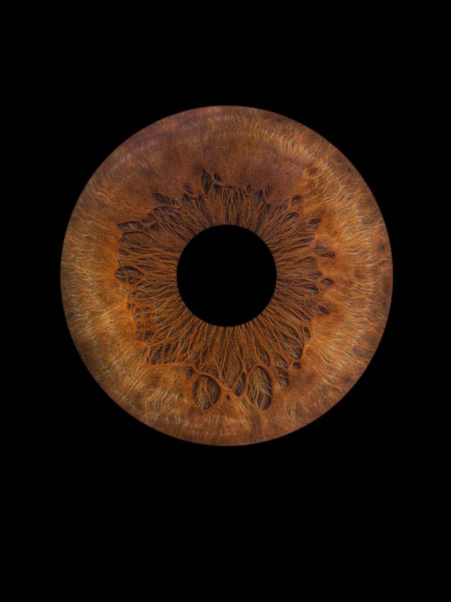 Digitaal 1-persoons Iris Foto Artwork - IrisArtwork