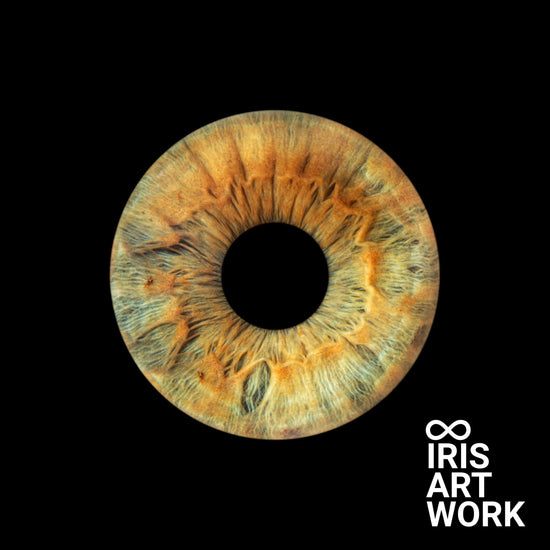 1-Persoons Iris Foto Artwork Museumglas - IrisArtwork