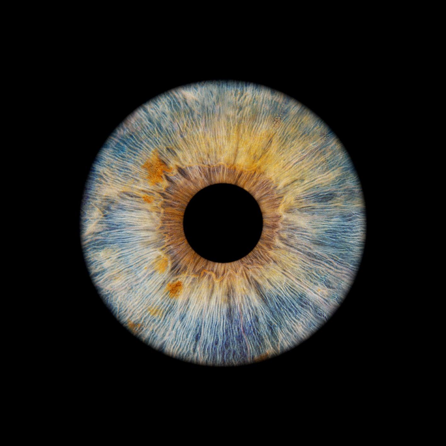 1-Persoons Iris Foto Artwork Museumglas - IrisArtwork