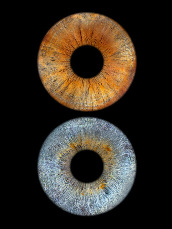 Digitaal 2-persoons Koppel Iris Artwork