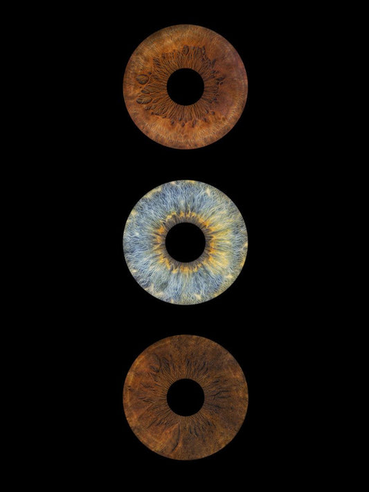 3-persoons irisfoto als digitaal bestand – macro close-up van drie irissen op zwarte achtergrond – IrisArtwork