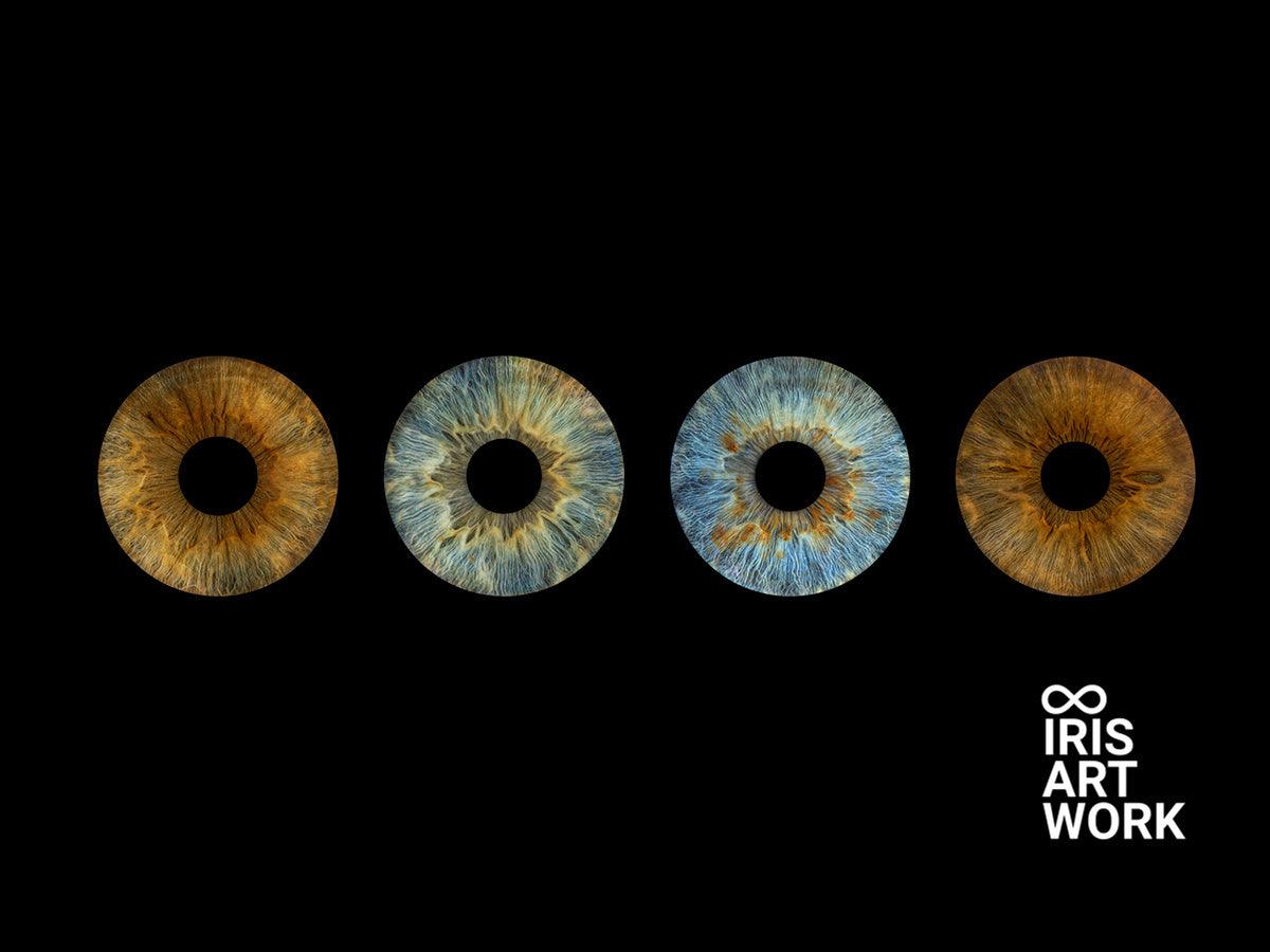Digitaal 4-persoons Iris Artwork - IrisArtwork