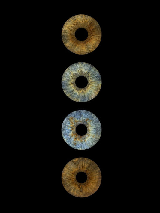 Digitaal 4-persoons Iris Artwork - IrisArtwork
