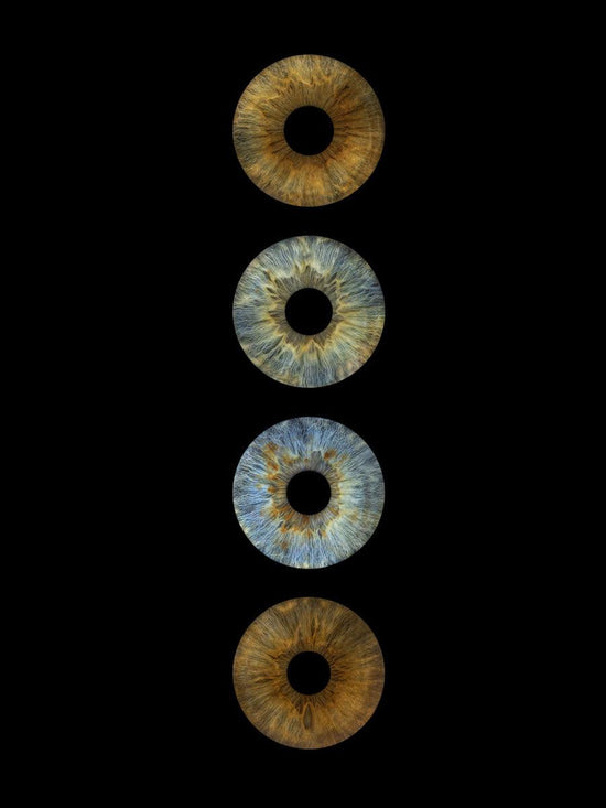 Digitaal 4-persoons Iris Artwork - IrisArtwork