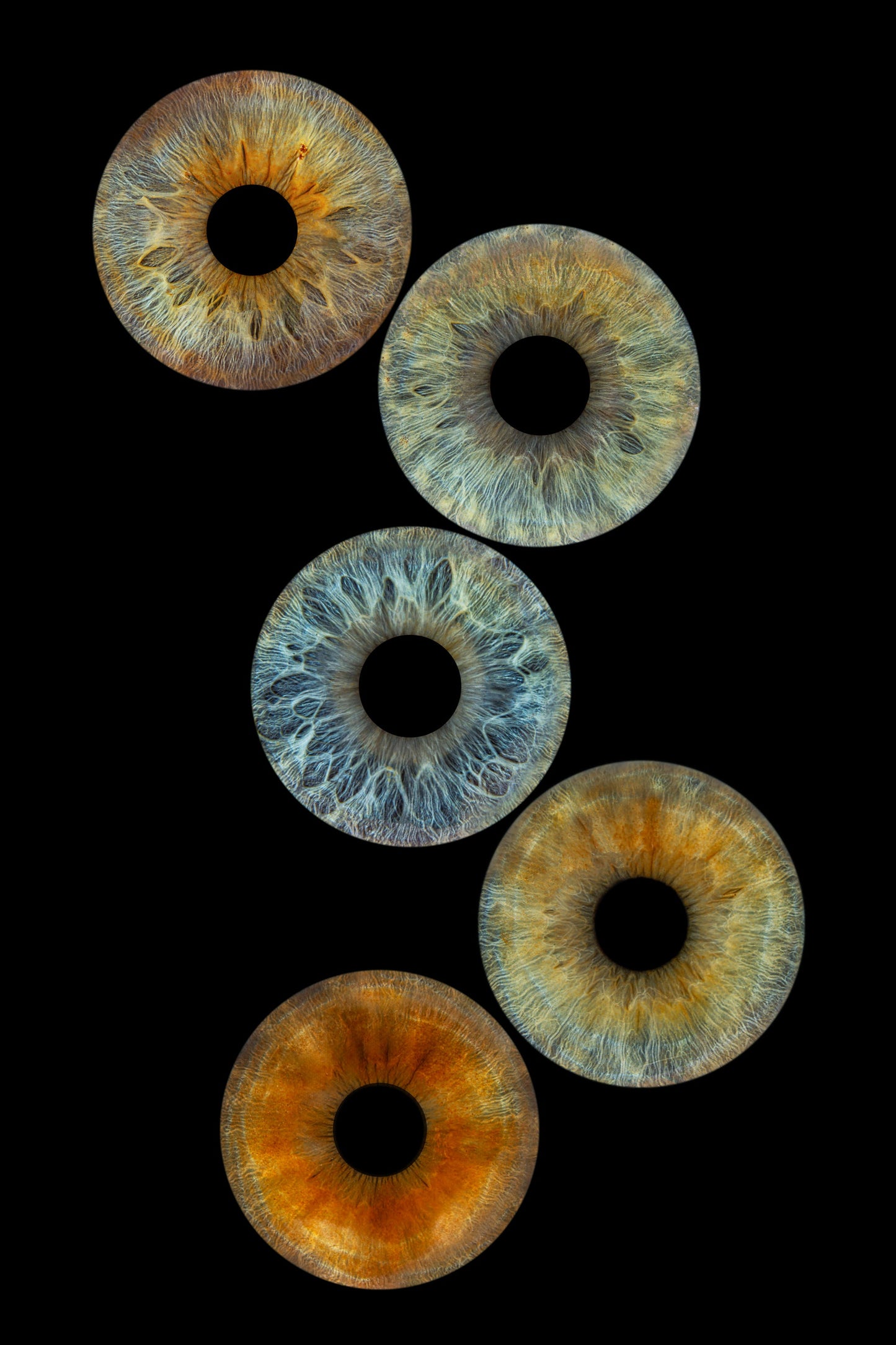 Digitaal 5-persoons Iris Artwork IrisArtwork