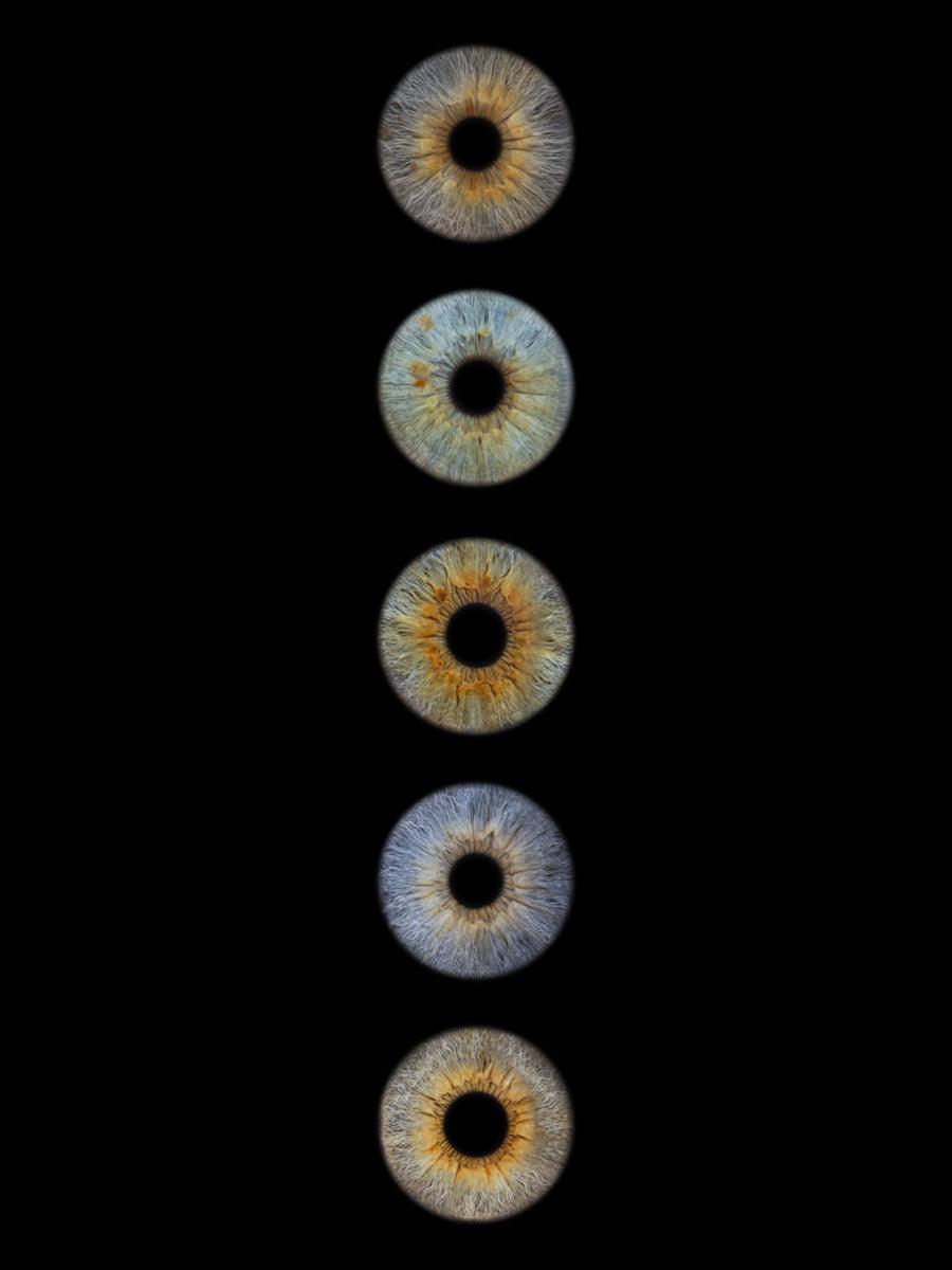 Digitaal 5-persoons Iris Artwork - IrisArtwork