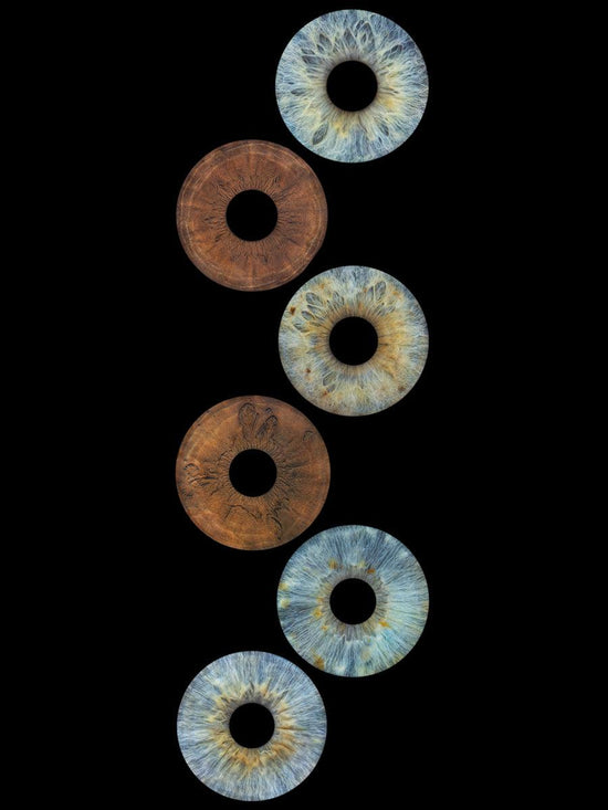 Digitaal 6-persoons Iris Artwork - IrisArtwork