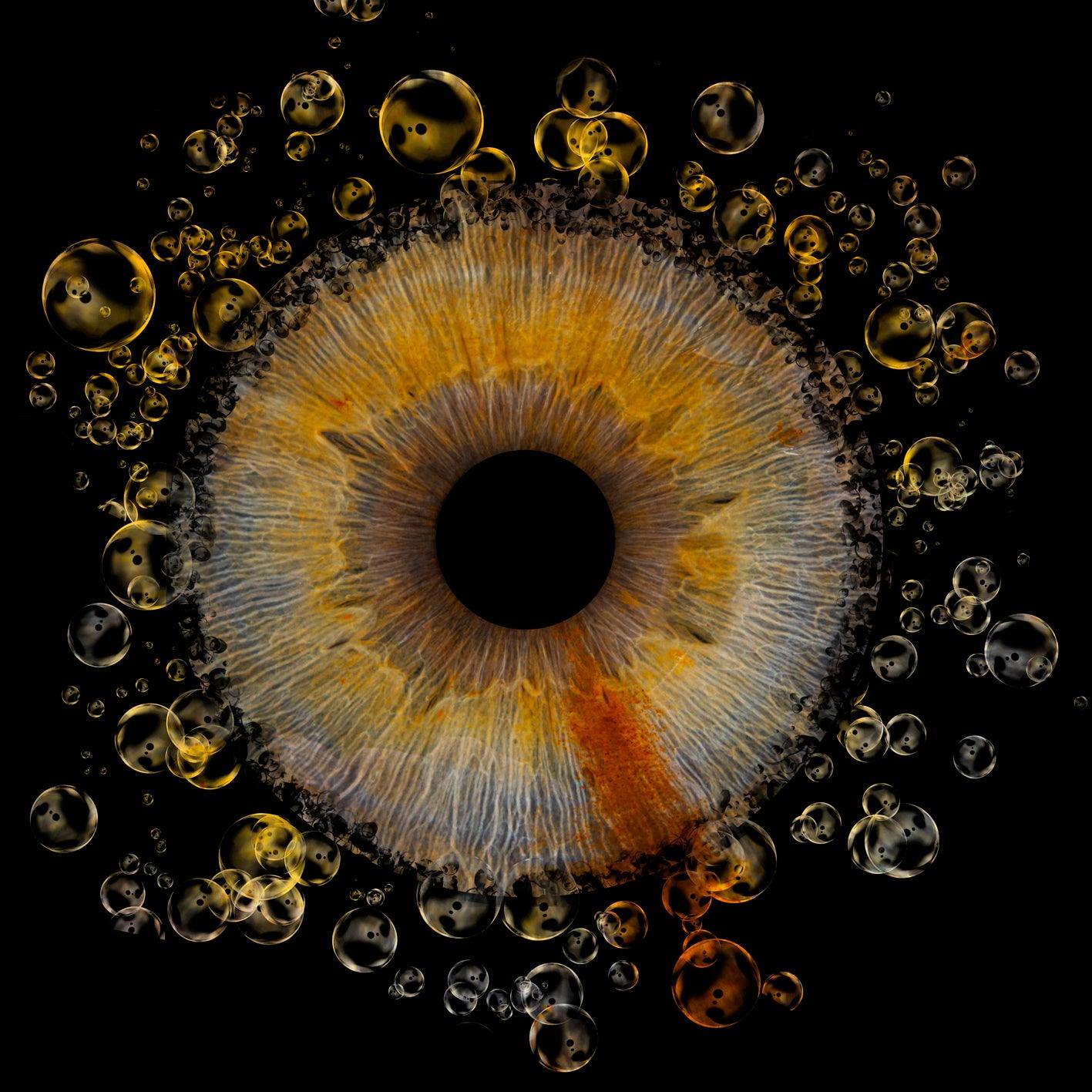 1-Persoons Iris Foto Artwork Museumglas - IrisArtwork