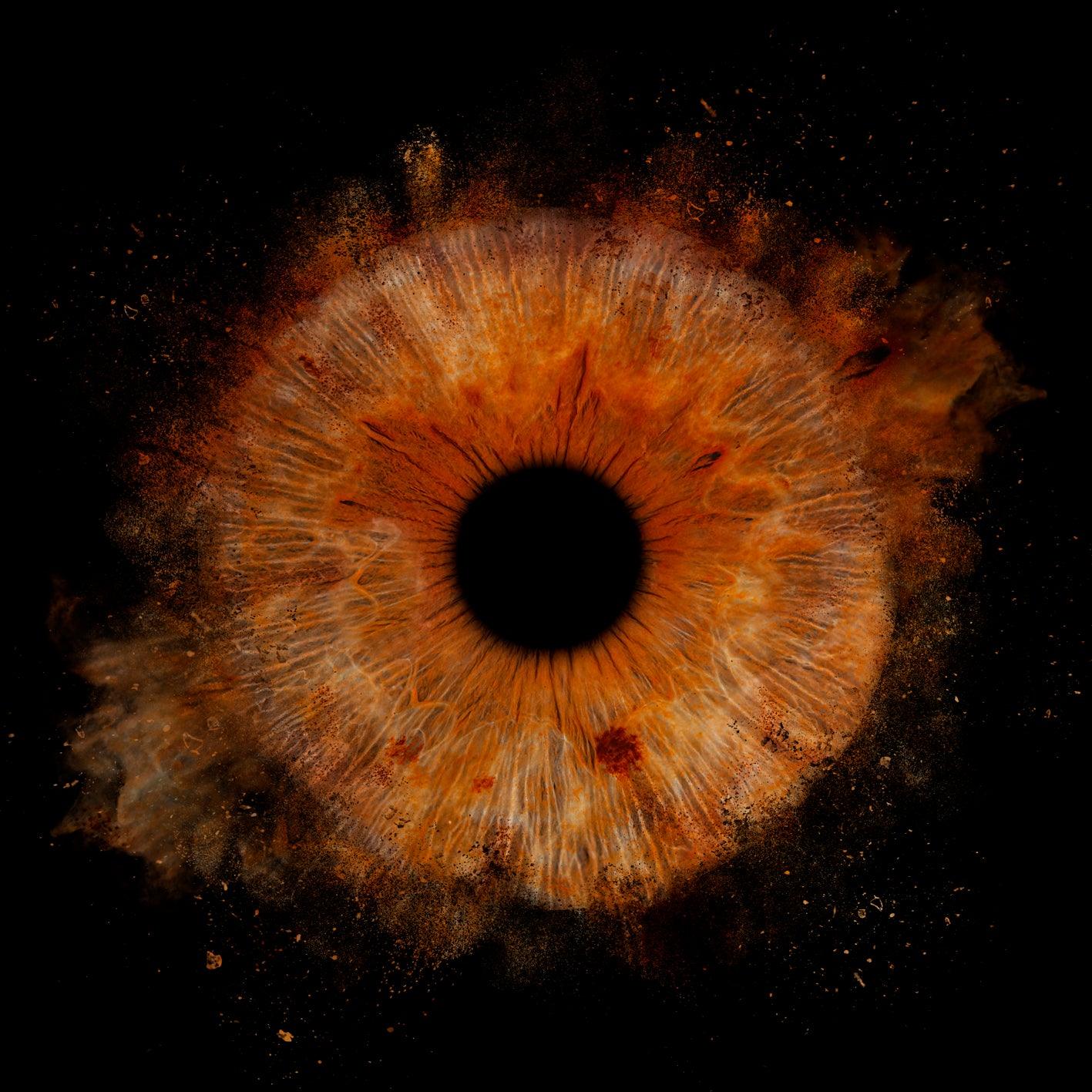 1-Persoons Iris Foto Artwork Museumglas - IrisArtwork