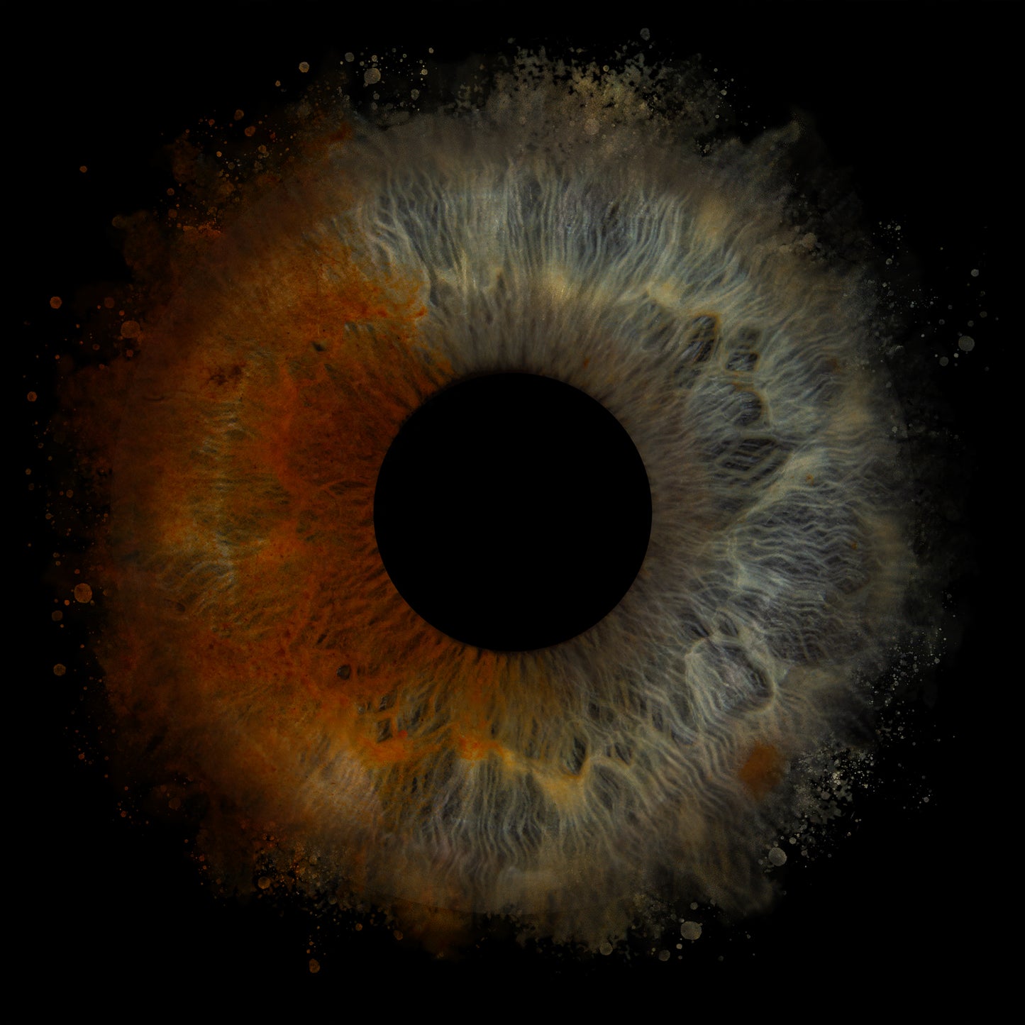 1-Persoons Iris Foto Artwork Plexiglas