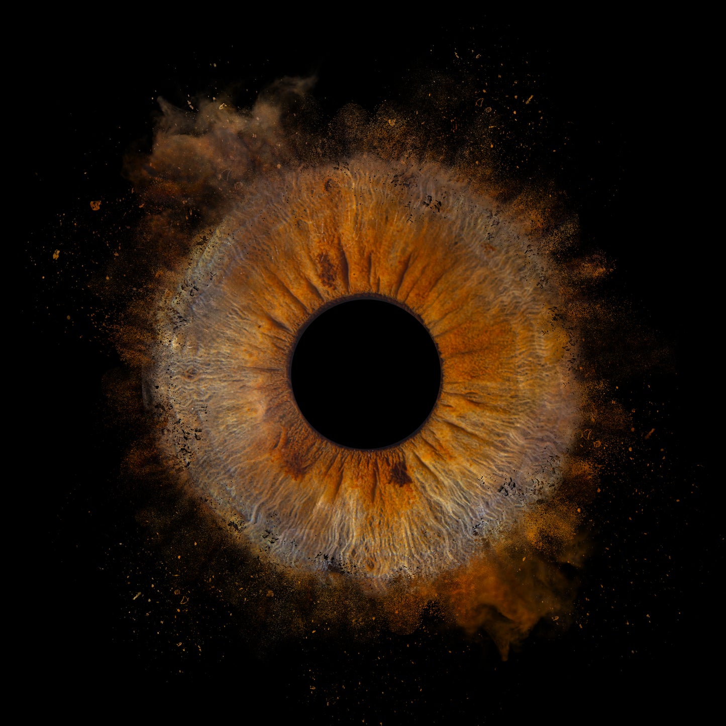 1-Persoons Iris Foto Artwork Plexiglas