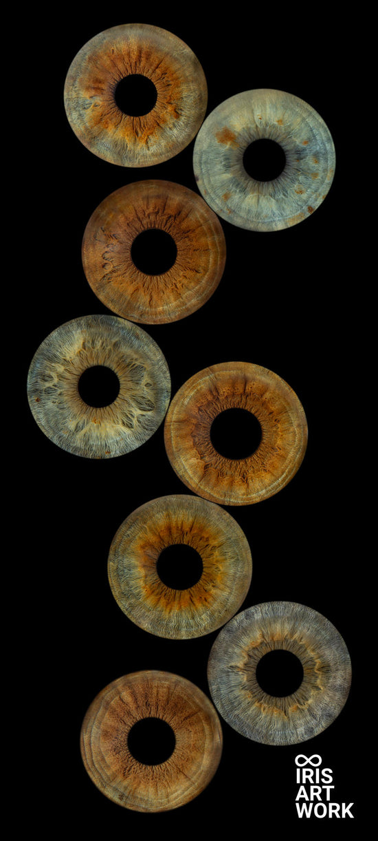 Digitaal 8-persoons Iris Artwork