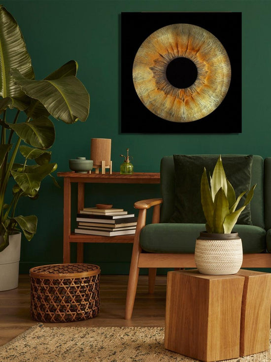 Enkelvoudige iris in museumglas: de perfecte manier om delicate details en kleuren van de iris vast te leggen