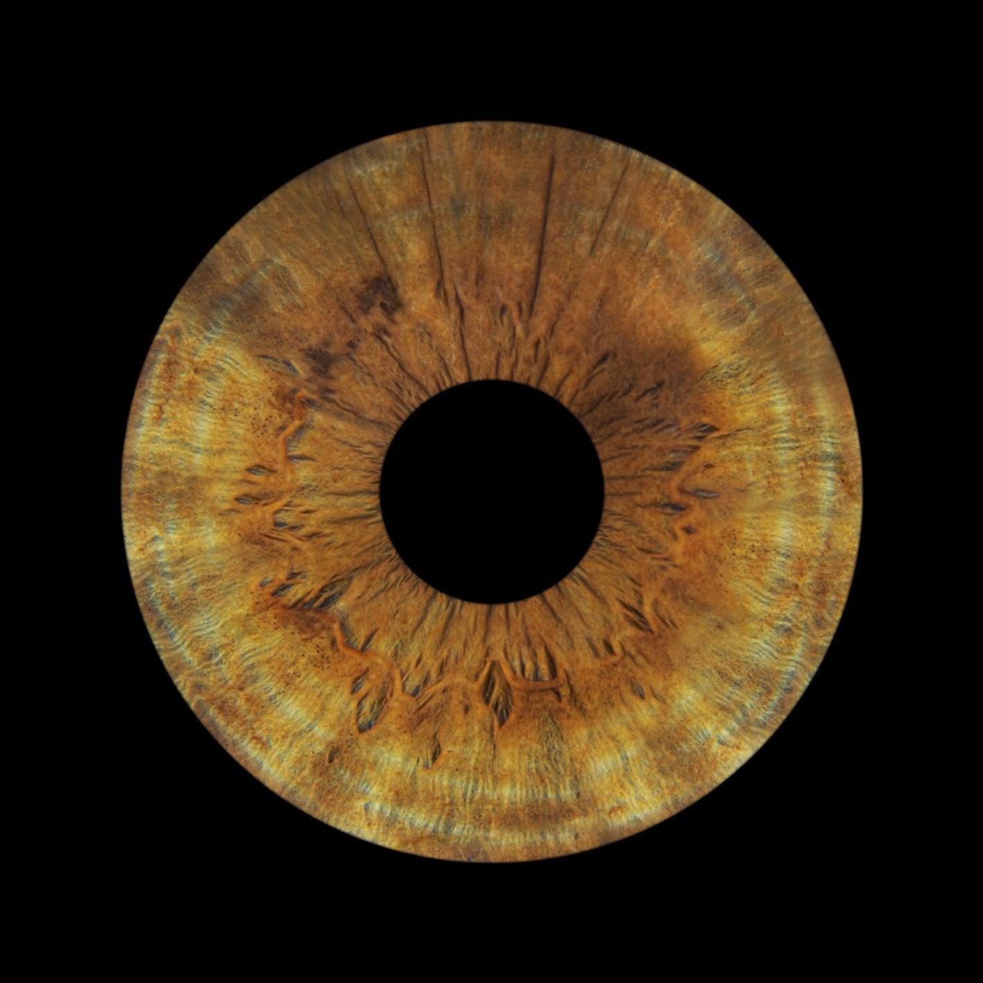 1-Persoons Iris Foto Artwork Museumglas - IrisArtwork