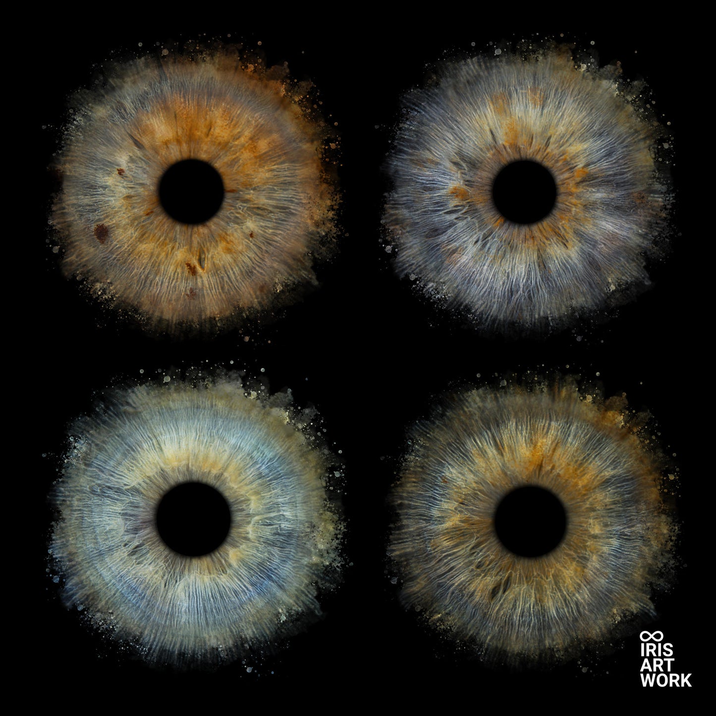 4-Persoons Collision IrisArtwork Acrylblok